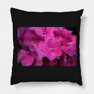 Hydrangea Pillow