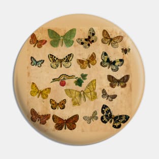 Butterflies Gold Pin