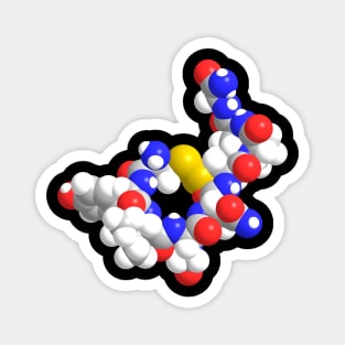 Oxytocin Molecule Chemistry Magnet
