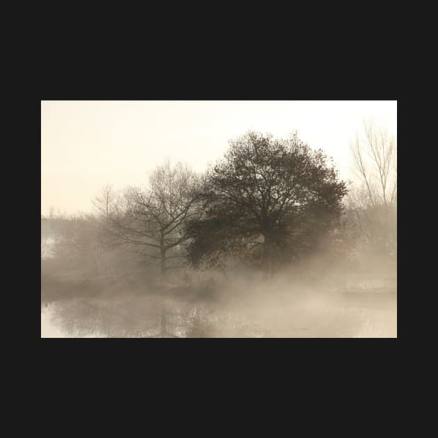 Lake, autumn mood, ground fog, hoarfrost, trees, landscape, Fischerhude, Lower Saxony, Germany by Kruegerfoto