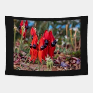 Sturt's Desert Pea, Outback South Australia Tapestry