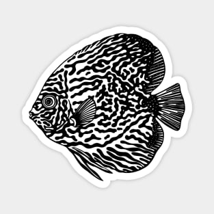 Discus Fish or Pompadour Fish Ink Art - animal drawing - black on white Magnet