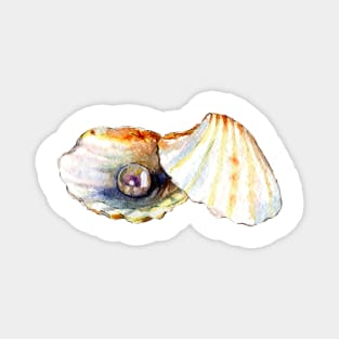 Pearl shell Magnet