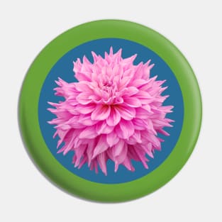 Hot Pink Ball Dahlia Blue Circle Flower Pin