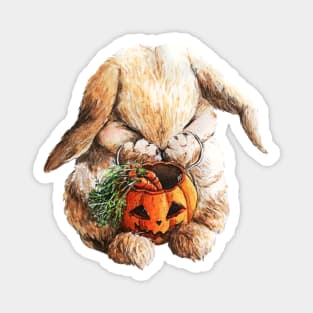 Cute Halloween Bunny with pumpkin basket Magnet