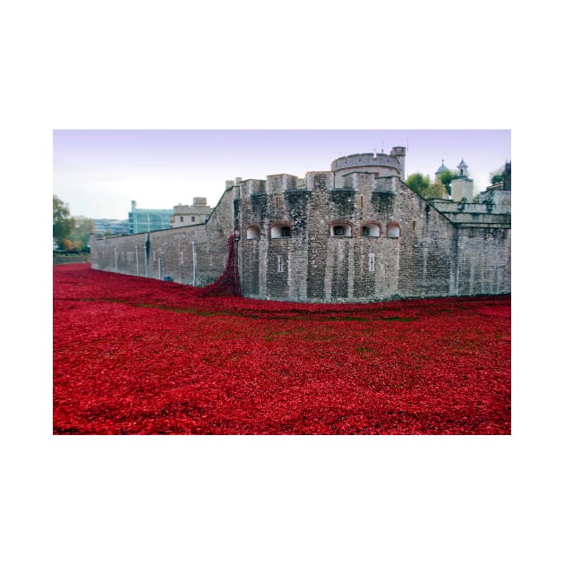 Tower of London Red Poppies by AndyEvansPhotos