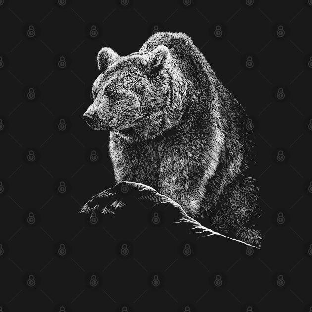 Bear by sibosssr