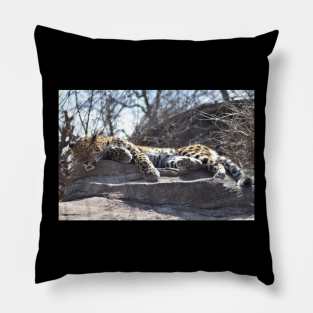 Leopard Pillow