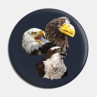 Birds of prey Pin