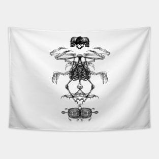 Bone Structure Tapestry