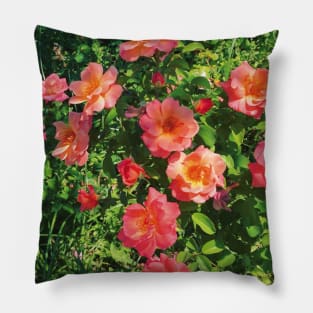 Pretty Pink Flowers Photography design with blue sky nature lovers Pillow