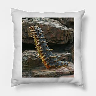 Rampant Trepang Sculpture. Vladivostok Oceanarium Pillow