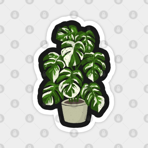 Monstera borsigiana variegated plant with fenestrations Magnet by gronly