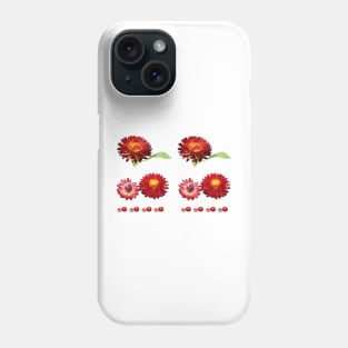 Helichrysum bracteatum 'Nevada Red' Everlasting flower Phone Case