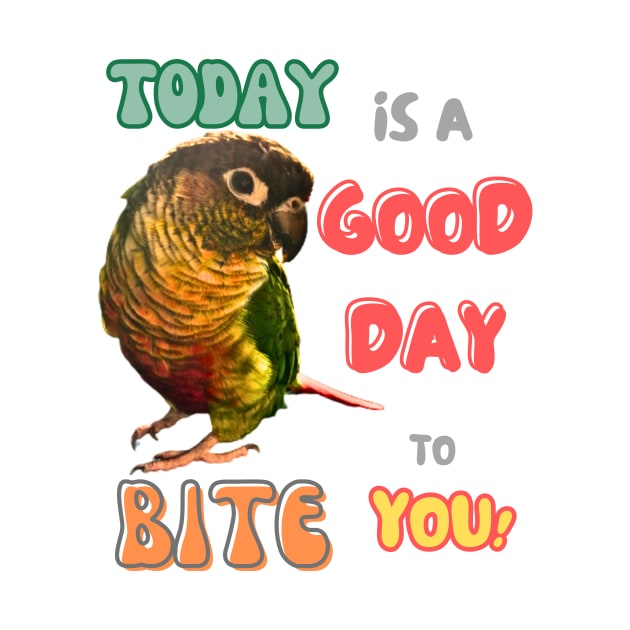 Green Cheek Conure Bird, Small Parrot, Parakeet, Today is a good day to bite you by TatianaLG