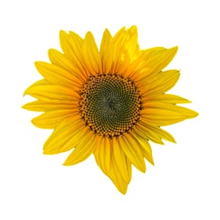 Sunflower T-Shirt