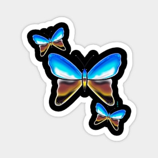 Chrome butterflies Magnet