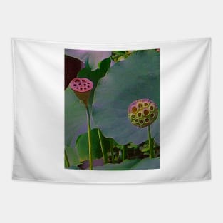 Alchemia, Lotus Seed heads (Just the Two of Us) Tapestry