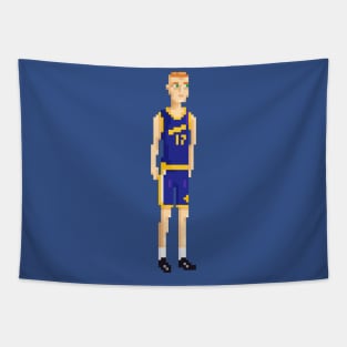 Chris Mullin Tapestry