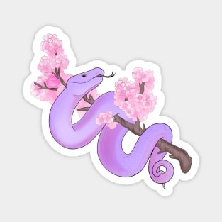 Pink Sakura Viper: Purple Magnet