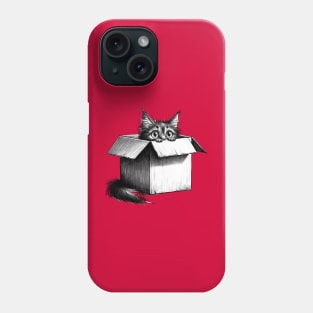 Cat in the box - Peeping Cat Phone Case