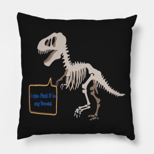 Dinosaur Humor Pillow