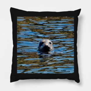 Seal in the blue Pillow