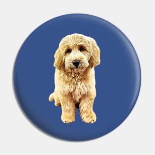 Goldendoodle Cute Puppy Eyes! Pin