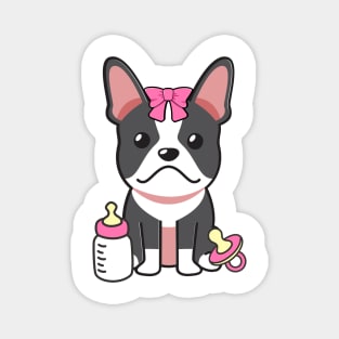 Cute french bulldog is a baby - girl Magnet