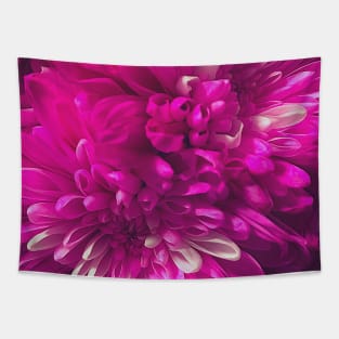 Chrysanthemum flowers close up photo Tapestry