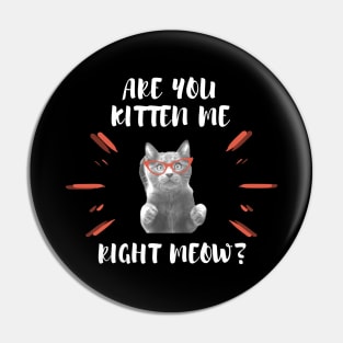 Are you Kitten Me Right Neow Pin