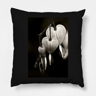 Bleeding Hearts (Dicentra) flowers in black and white Pillow