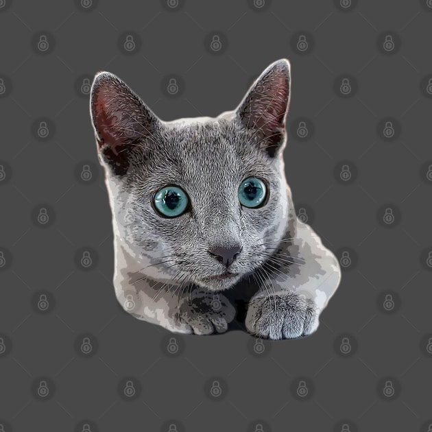 Russian Blue Cat Kitten Blue eyes by ElegantCat