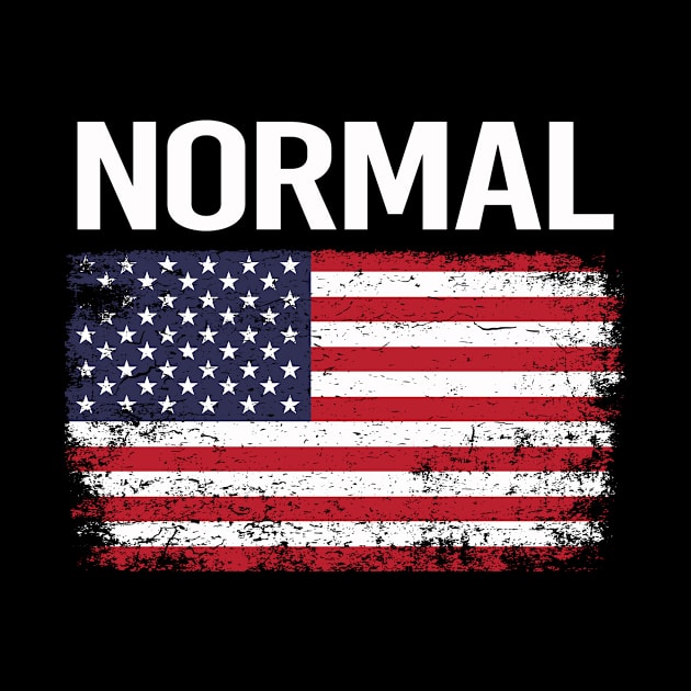 The American Flag Normal by flaskoverhand