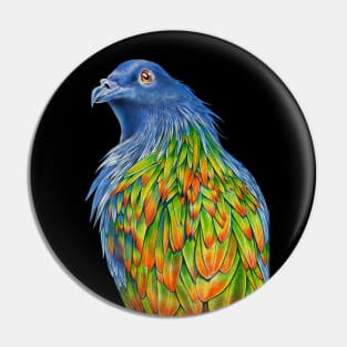 Nicobar Pigeon Pin