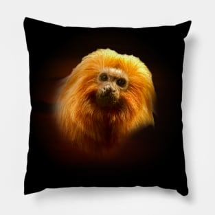 Golden lion tamarin Pillow