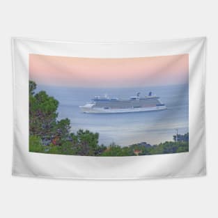 morning cruise Tapestry