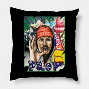 Prof Pillow