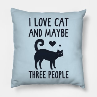 I Like Cats And Maybe 3 People Pillow