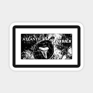 Black & White Sea Turtle and Atlantic Fossils Shark Tooth Magnet