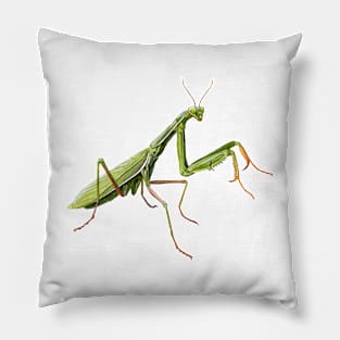 Praying Mantis Pillow