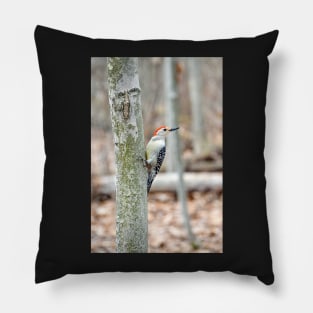 "Red-Bellied Woodpecker Pillow