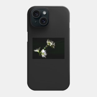 Amaryllis Flower In Full Bloom Phone Case