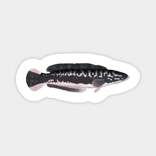 Giant Snakehead Magnet