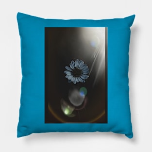 Bellis perennis Pillow