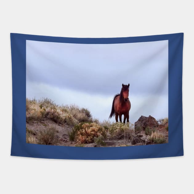 Wild Horses, Mustangs, Western Knight Tapestry by sandyo2ly