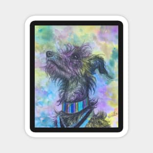 Rainbow scruffy Lurcher Magnet