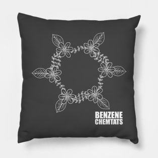 Benzene (W) Pillow