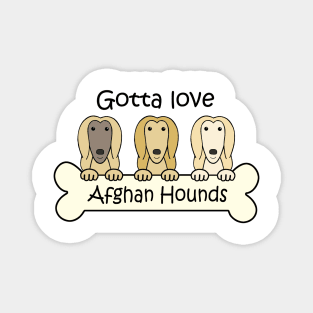 Gotta Love Afghan Hounds Magnet