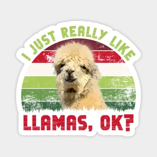 I Just Really Like Llamas, OK? Magnet